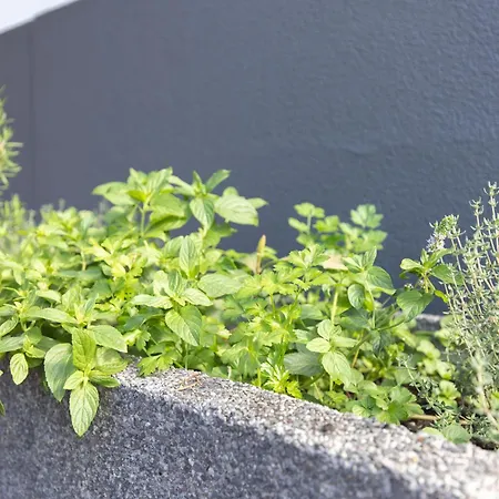 Margot By Rent-a-key 度假居 *