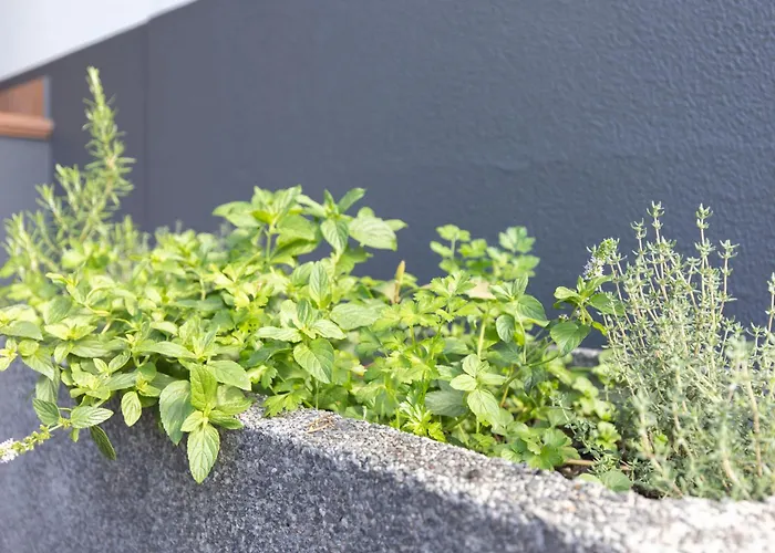 Margot By Rent-a-key Dom wakacyjny *